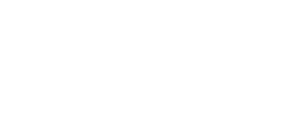 WAS Logo