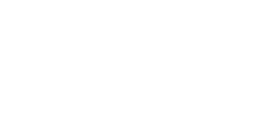 bergstrom logo